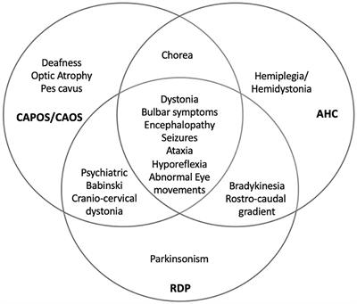 ATP1A3-Related Disorders: An Ever-Expanding Clinical Spectrum